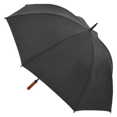 2005-Virginia Umbrella