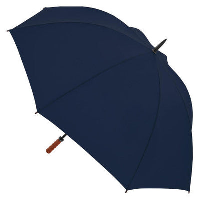 2005-Virginia Umbrella