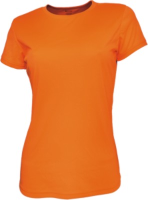 CT1422-Ladies Brushed Tee Shirt