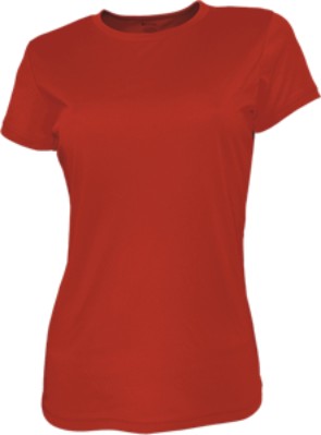 CT1422-Ladies Brushed Tee Shirt