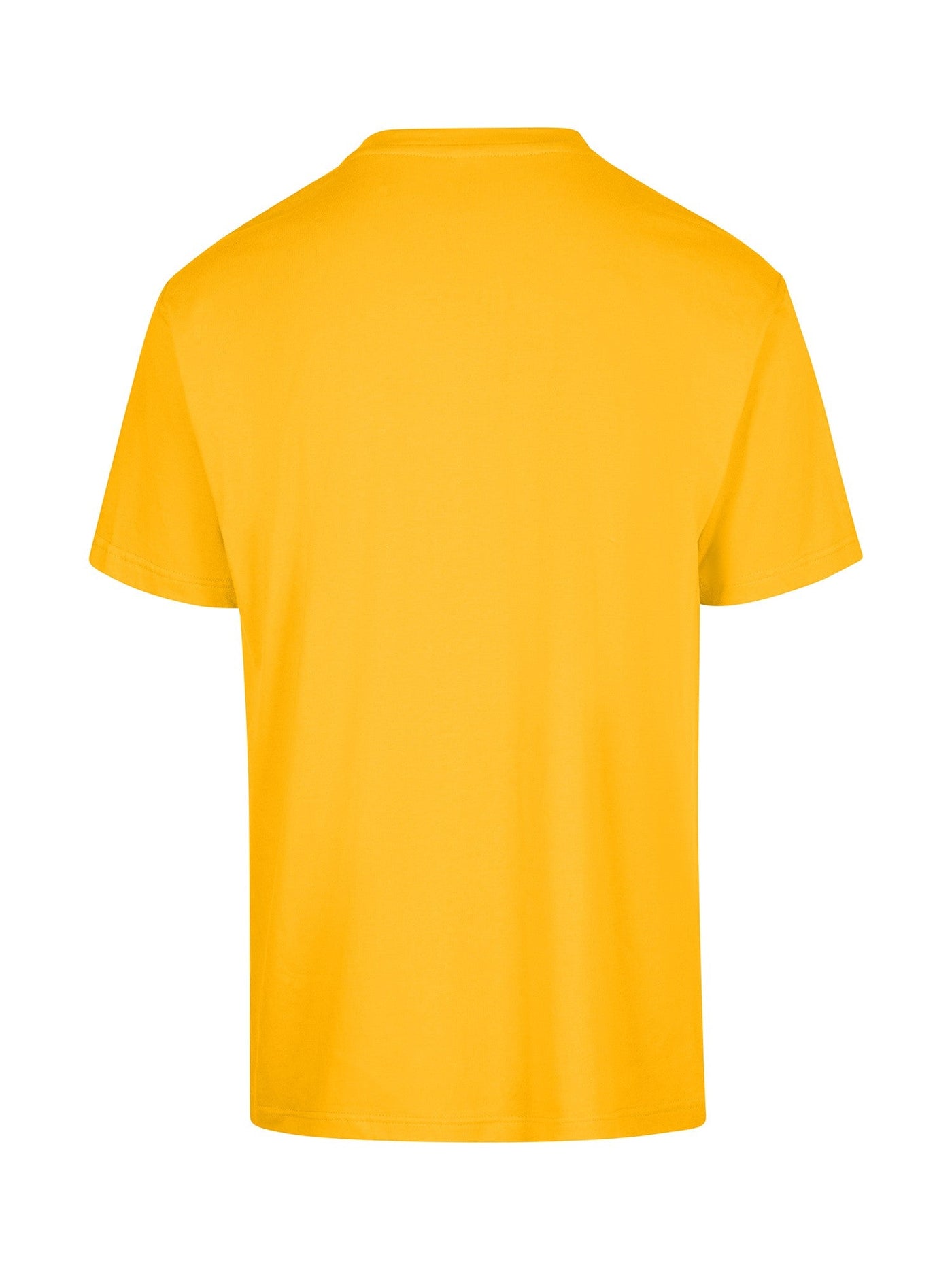 T202HT-Regular Adults Tee